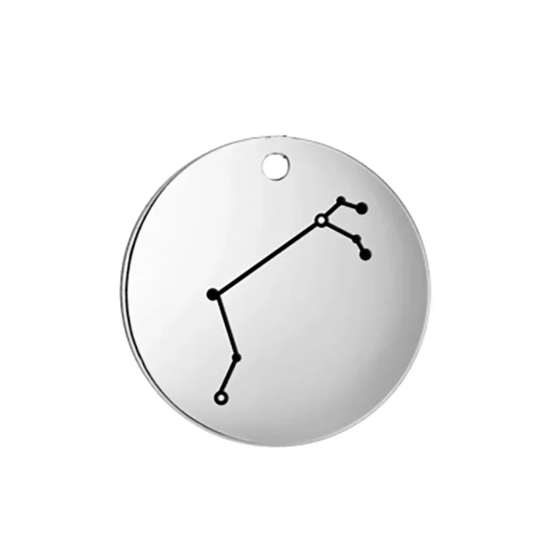 Breloques du Zodiaque en Acier Inoxydable pour Bijoux,… – Lueur… – Image 14