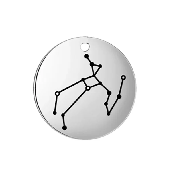 Breloques du Zodiaque en Acier Inoxydable pour Bijoux,… – Lueur… – Image 11