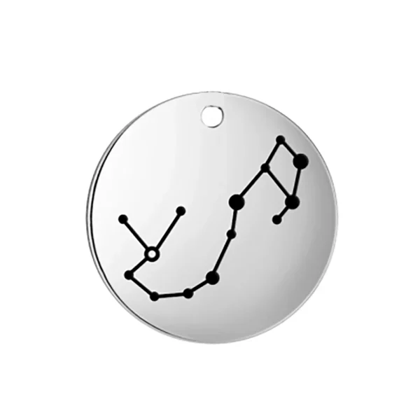Breloques du Zodiaque en Acier Inoxydable pour Bijoux,… – Lueur… – Image 12