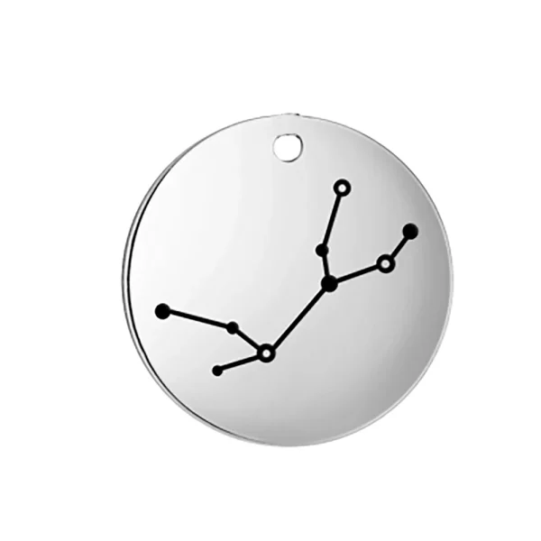 Breloques du Zodiaque en Acier Inoxydable pour Bijoux,… – Lueur… – Image 8