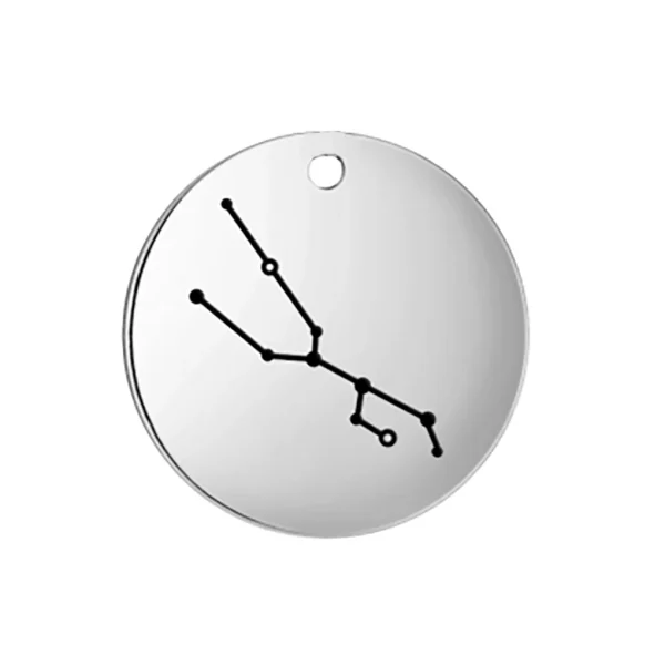 Breloques du Zodiaque en Acier Inoxydable pour Bijoux,… – Lueur… – Image 13