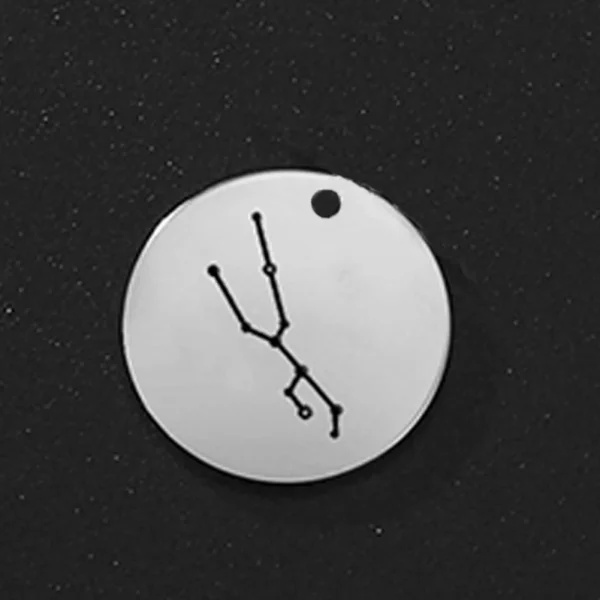 Breloques du Zodiaque en Acier Inoxydable pour Bijoux,… – Lueur… – Image 22